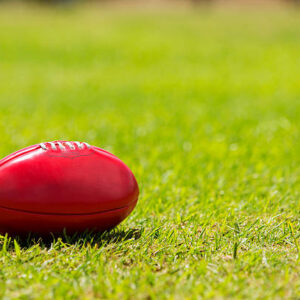 AFL 2023